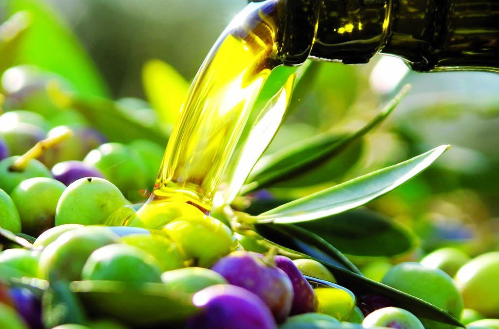 no todos los aceite de oliva son iguales
