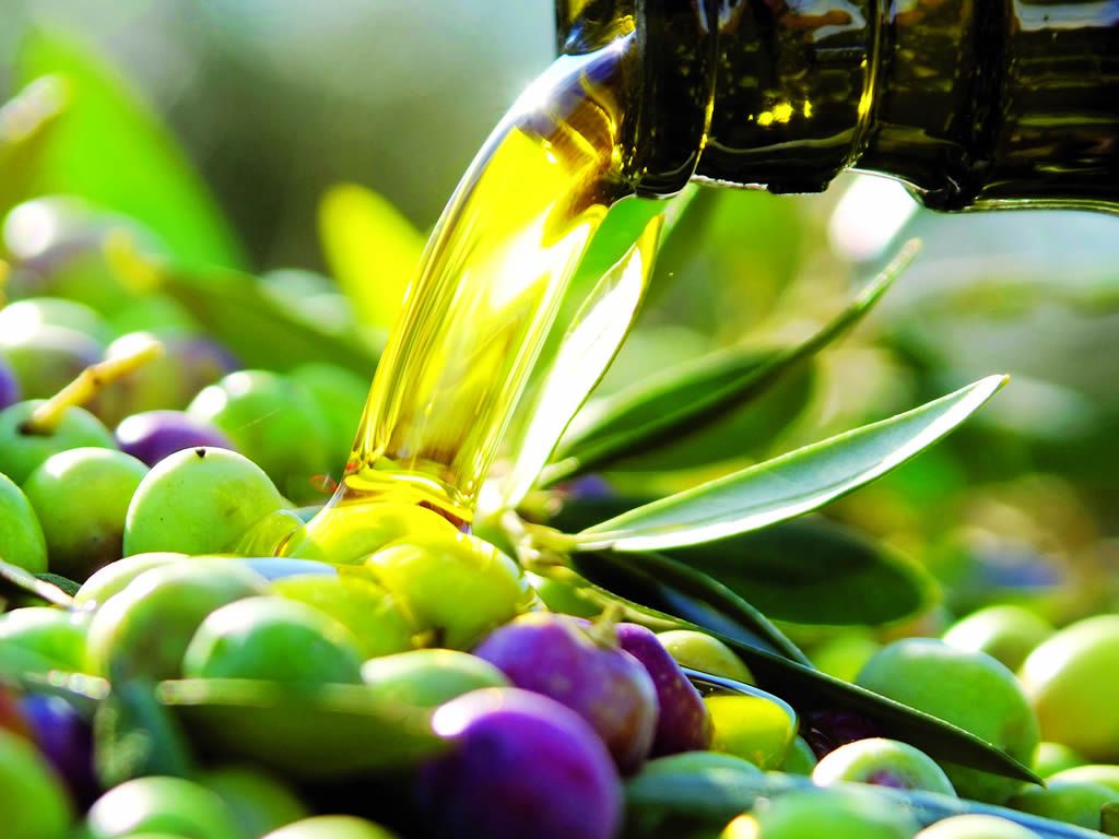 no todos los aceite de oliva son iguales