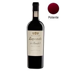 Lapostolle Parcelle 8 Cabernet Sauvignon 2021